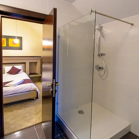 Pensión Pietrele Lui Solomon 4*