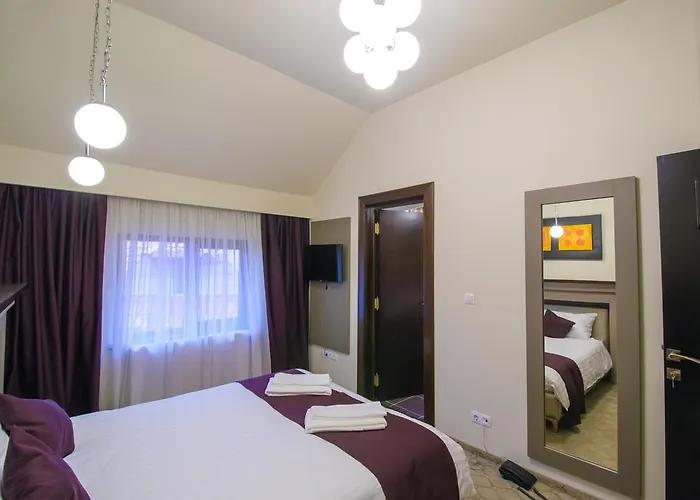 Guest house Pietrele Lui Solomon 4*